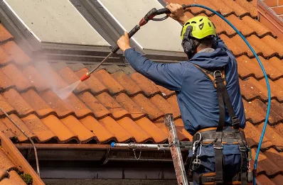 Démoussage et hydrofuge de toiture à Vailhourles